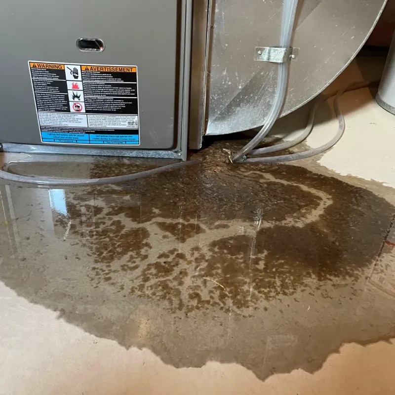 Appliance Leak Cleanup in Union County, IN